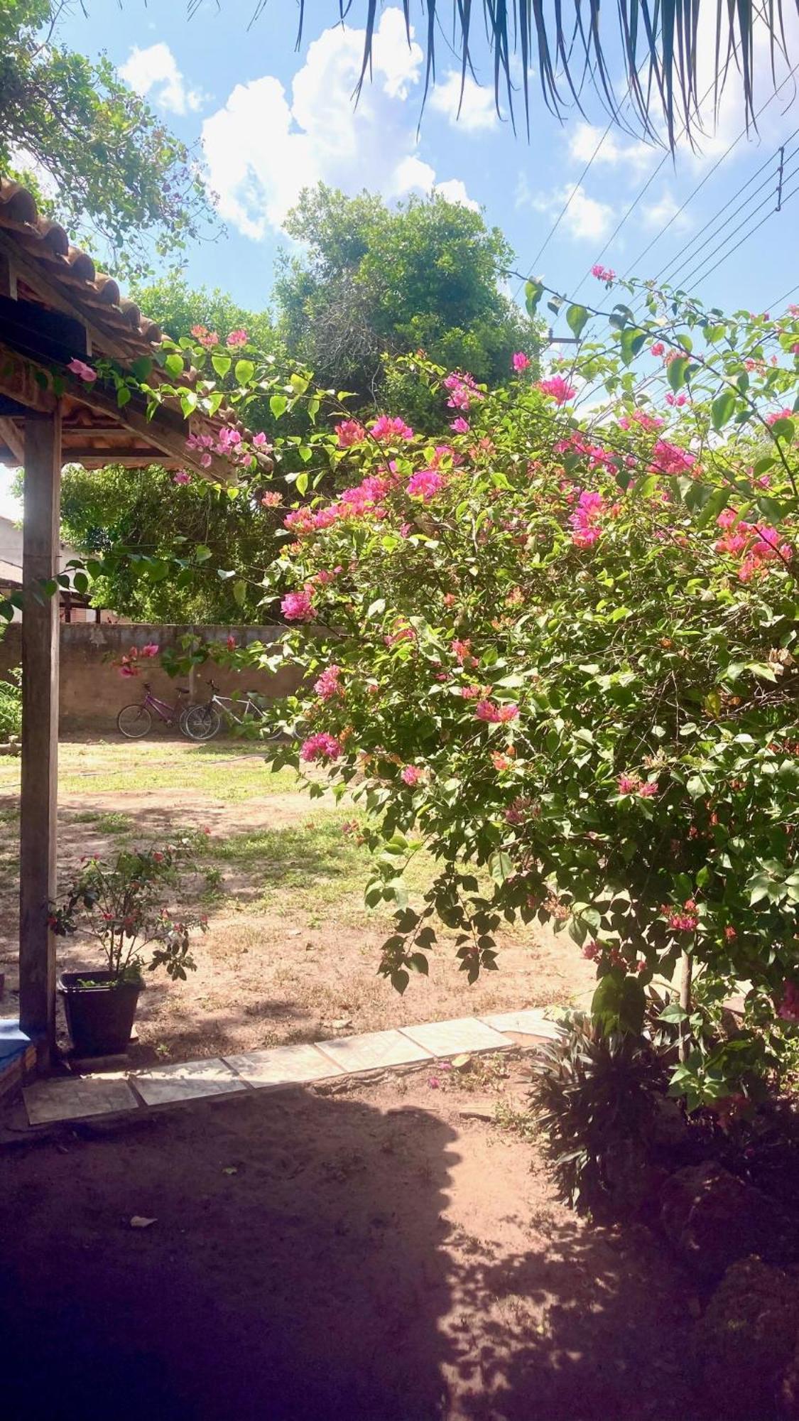אלטר דו צ'או Caju Hostel מראה חיצוני תמונה